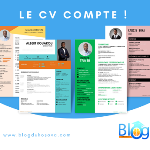 Curriculum vitae blogdukosova