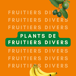 Plants de fruitiers divers