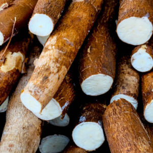 Manioc de Côte d'ivoire