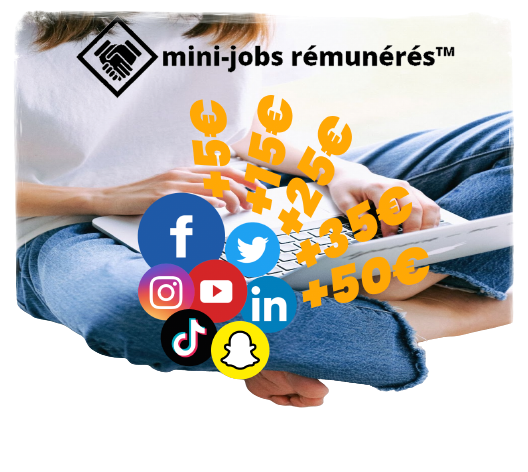 mini jobs rémunérés