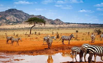 beau paysage en afrique