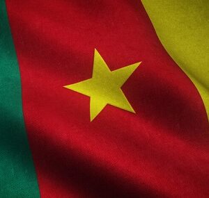 drapeau cameroun